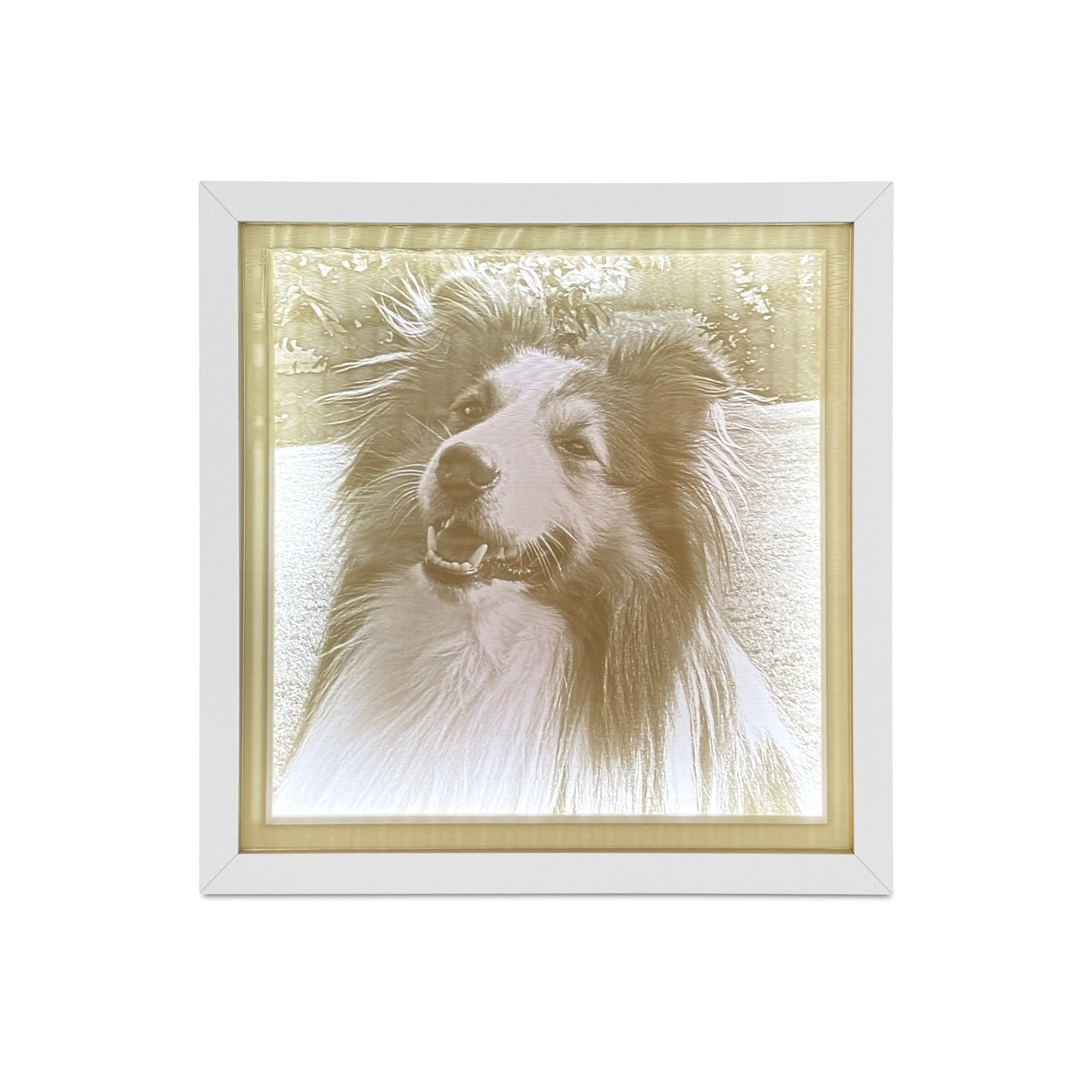 #formel 1# - #myracetrack#