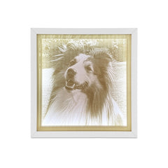 #formel 1# - #myracetrack#