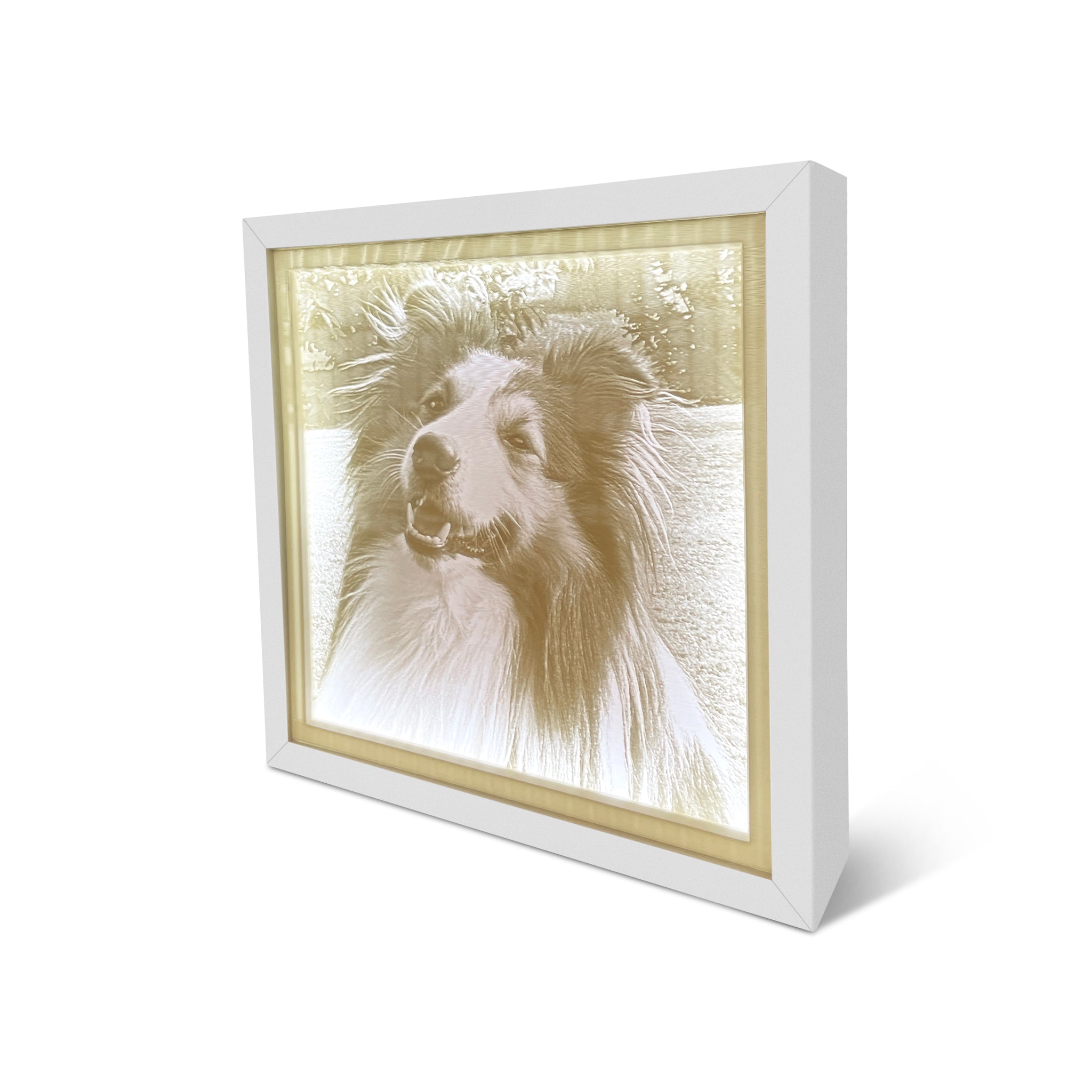 #formel 1# - #myracetrack#